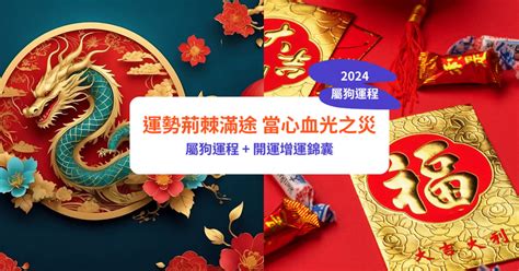 生肖狗 幸運色|【屬狗2024生肖運勢】運勢荊棘滿途，當心血光之。